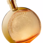 L'Ambre des Merveilles