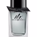 Mr. Burberry