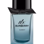 Mr. Burberry Element