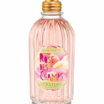 Rose des Champs